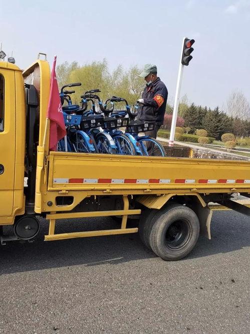 哈尔滨蓝车最新爆料,揭秘神秘事件背后的真相